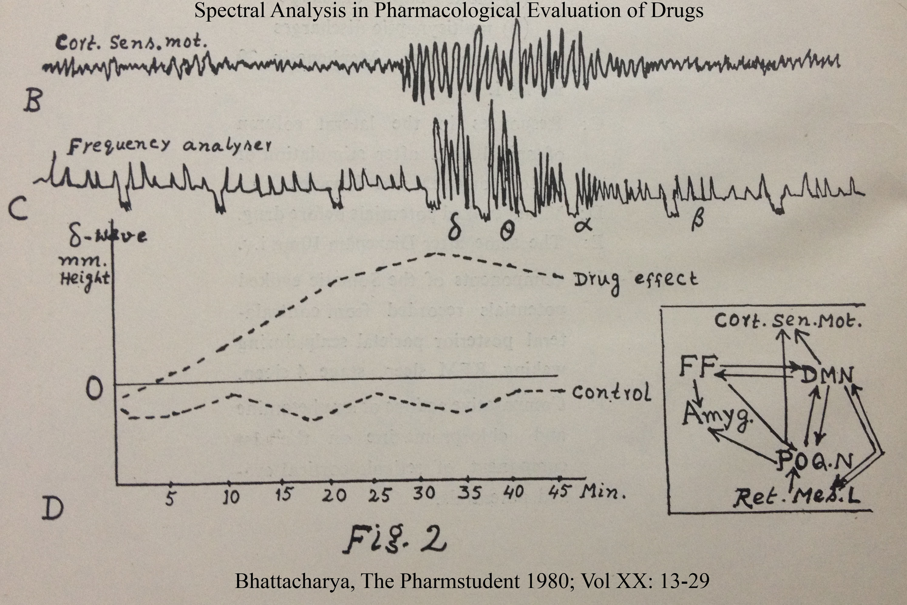 Spectral Analysis in Pharmacology